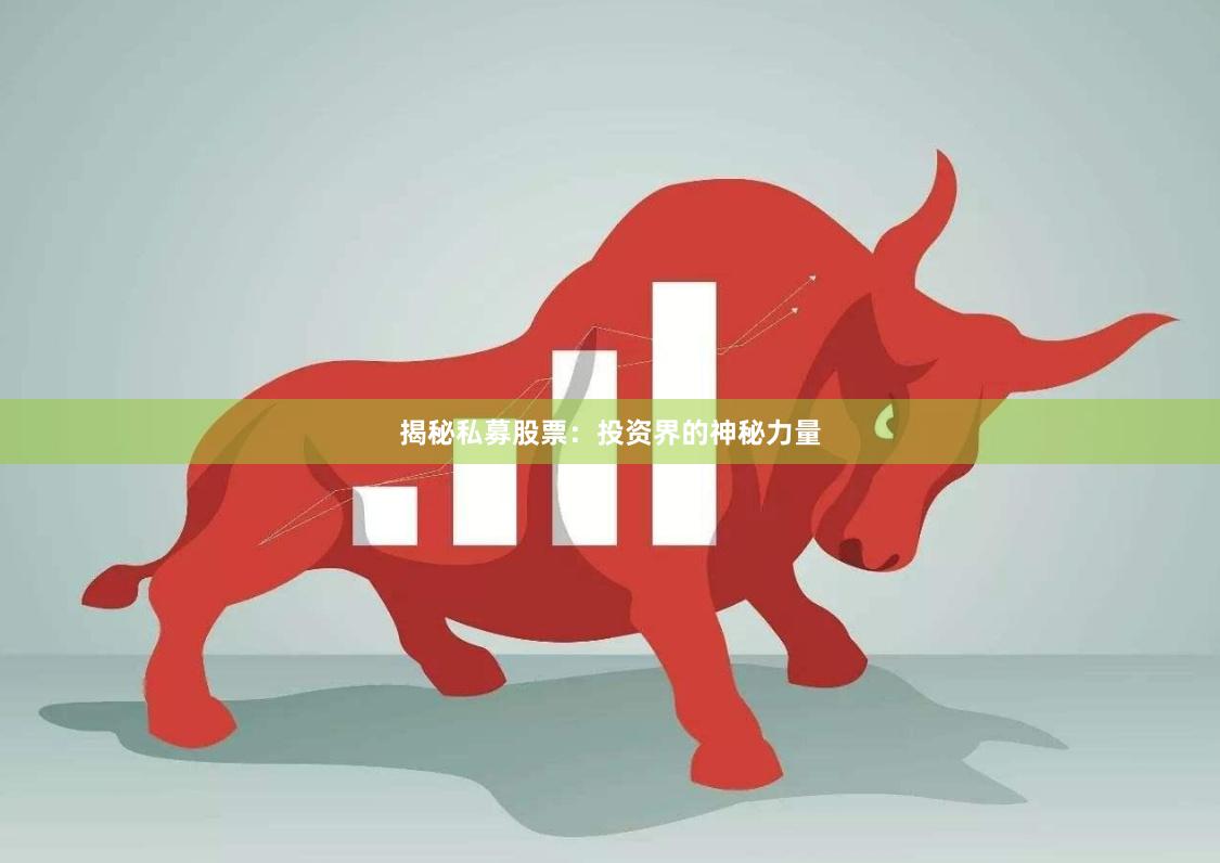 揭秘私募股票：投资界的神秘力量