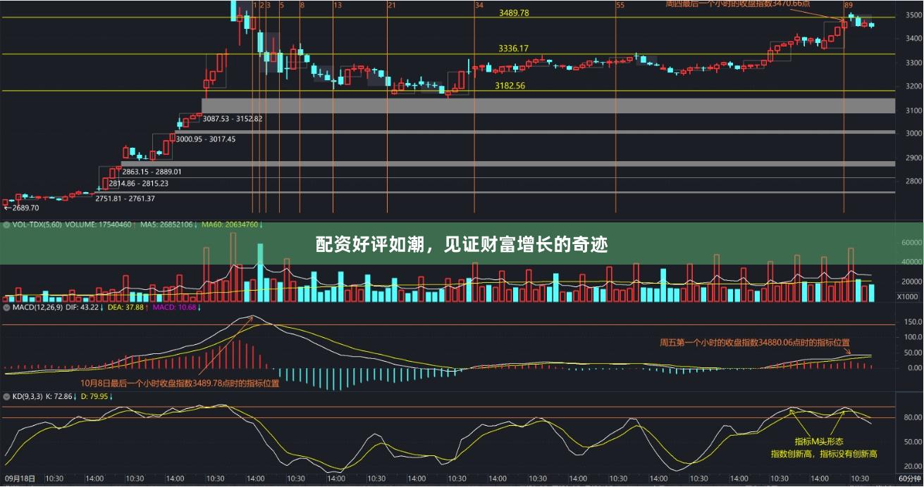 配资好评如潮,见证财富增长的奇迹