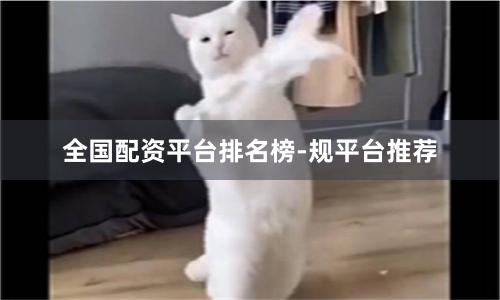 全国配资平台排名榜-规平台推荐