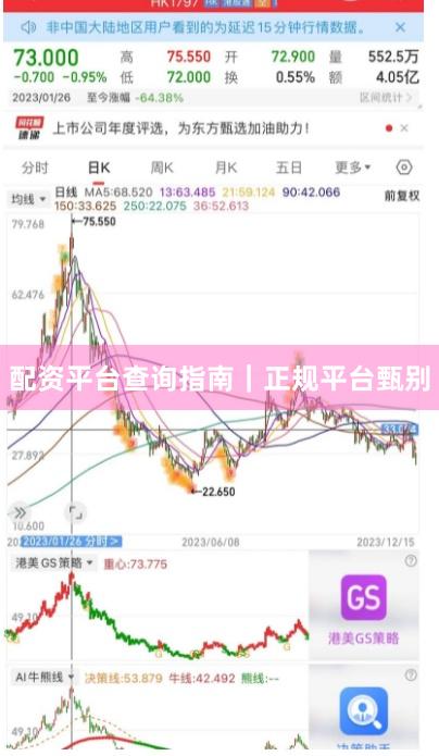 配资平台查询指南|正规平台甄别